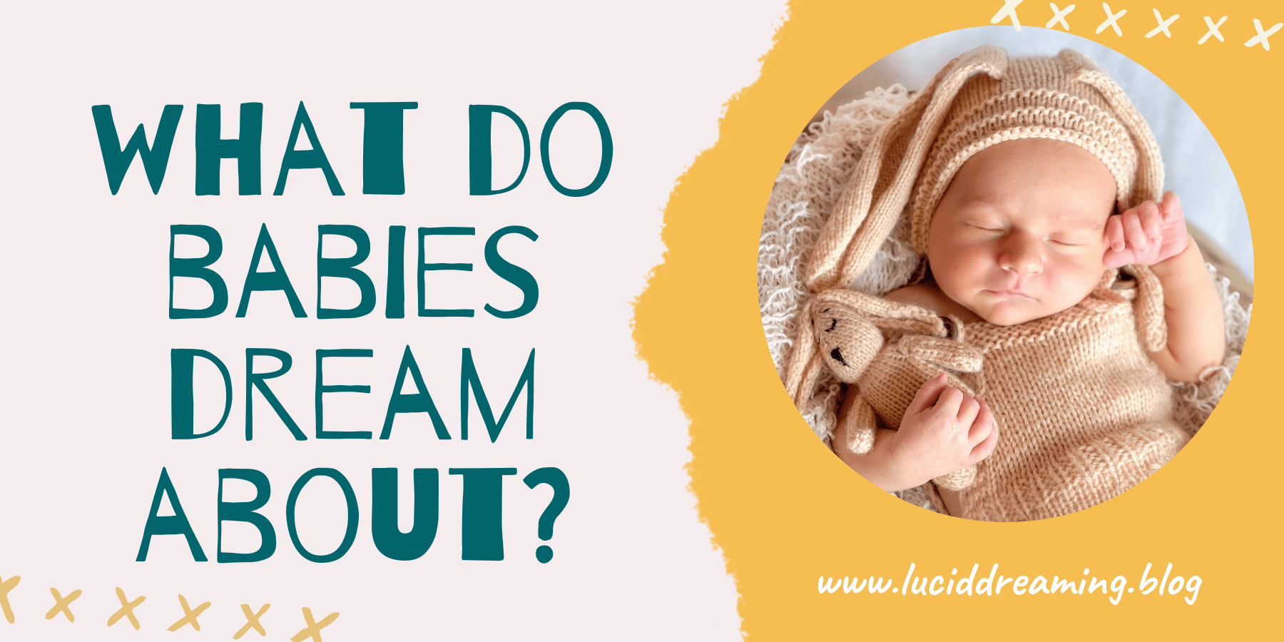 Do babies dream?